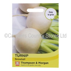 Thompson & Morgan Turnip Snowball